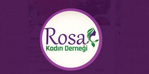 Rosa 